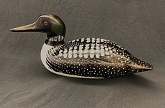 Common Loon 1/4 Sized 14'