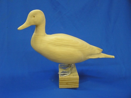 Standing Pintail 18"  Feet optional