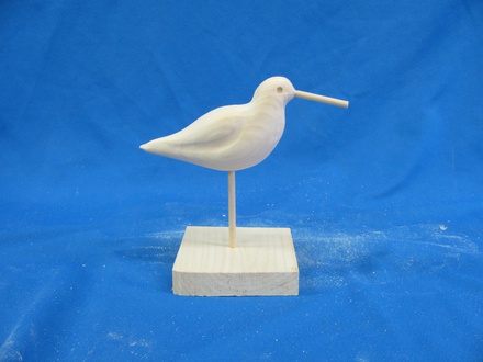 Sanderling 8"