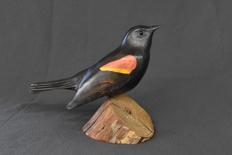 Red Winged Blackbird