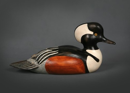 Premier Hooded Merganser