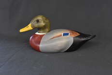 3/4 Size Mallard Drake 11"