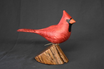 Cardinal