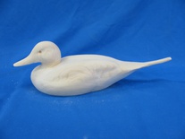 Pintail 16In
