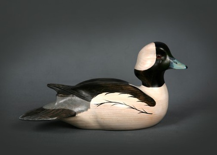 Bufflehead Premier