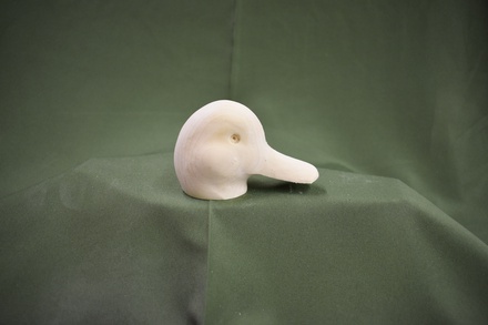 SCAUP HEAD